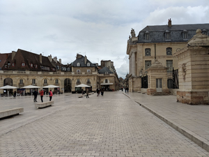 Chirurgien plasticien Dijon